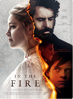 In The Fire book cover
